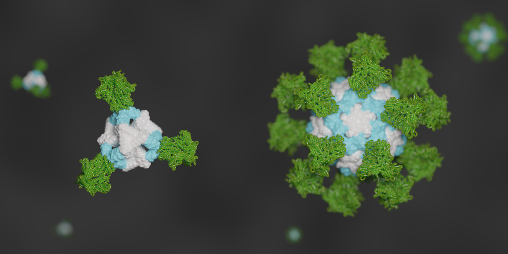 De novo nanoparticles as vaccine scaffolds
